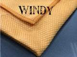 Windy the Window cleaning cloth